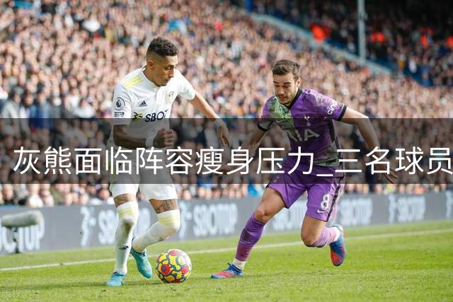 灰熊面临阵容瘦身压力 三名球员或将离队