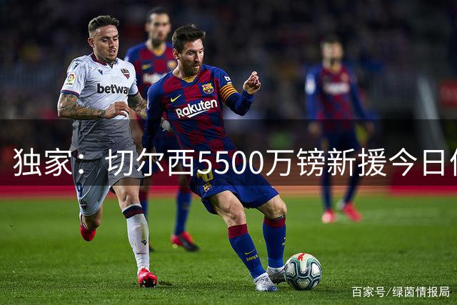 独家：切尔西5500万镑新援今日体检 吉马良斯转会传闻遭否认