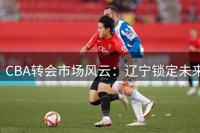 CBA转会市场风云：辽宁锁定未来核心 北控迎回功勋老将 广东引援受阻