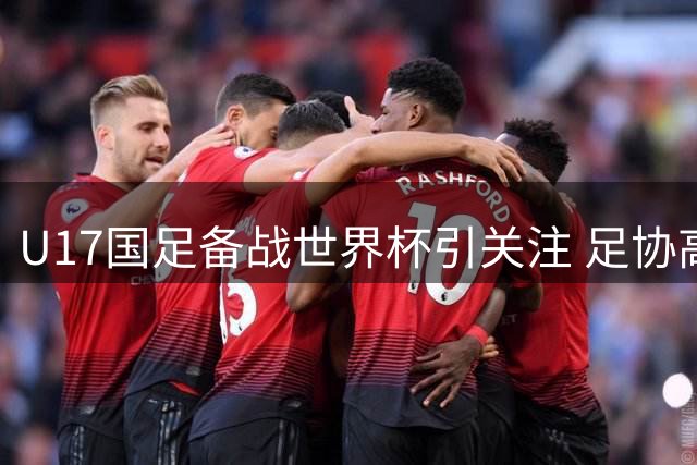 U17国足备战世界杯引关注 足协高层亲临明日之星赛场